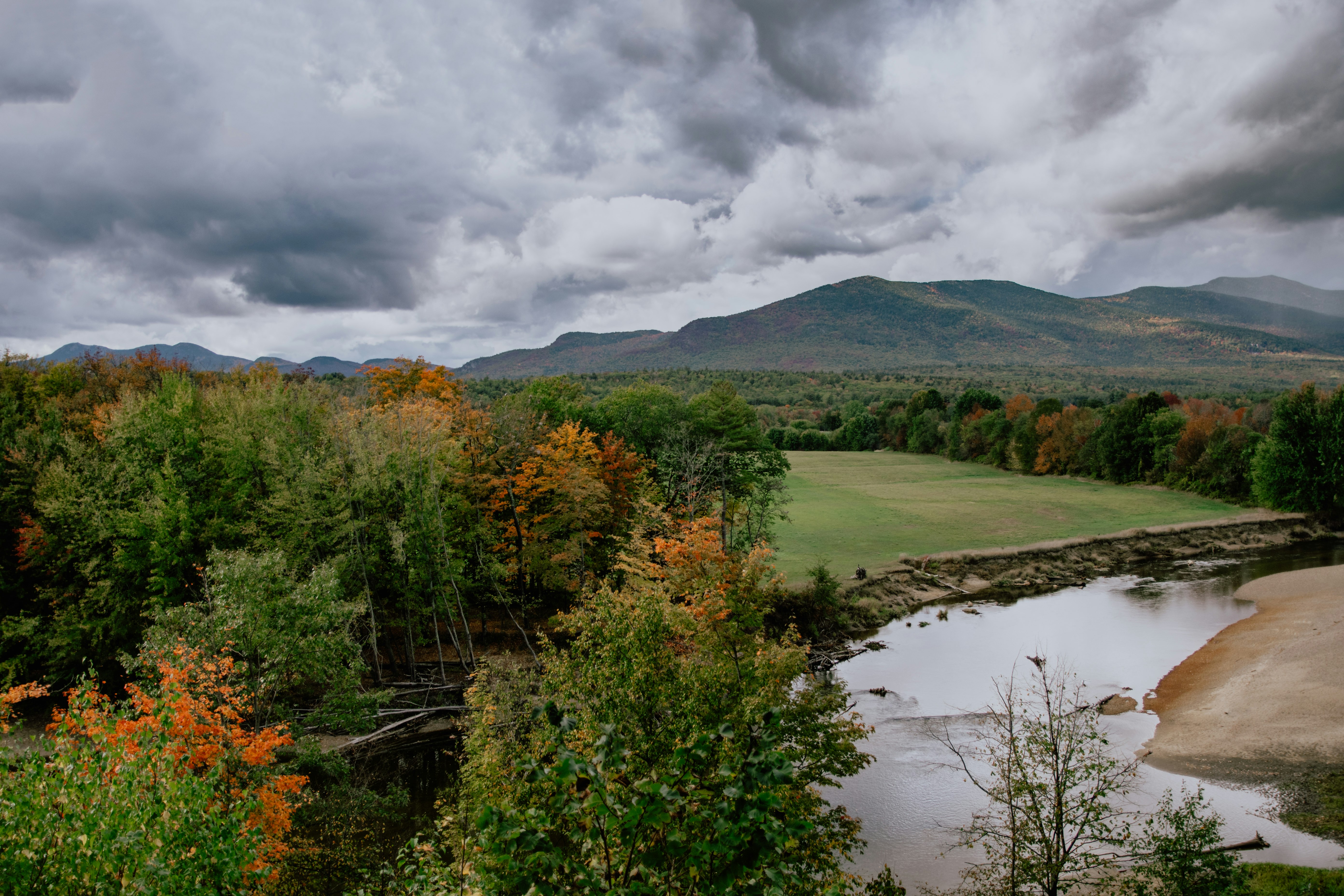 green trees near river under cloudy sky during daytime